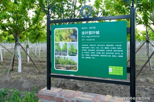 28项行业标准,198项地方标准,助推北京园林绿化高质量发展