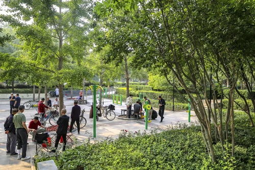 建设 花园城市 ,东城今年这么干