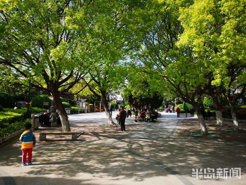 青岛市推出 精品绿地 每周一赏 活动 邀市民领略绿化美景共享绿化成果
