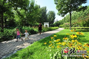 保定 今春开始园林绿化完成植树432万株