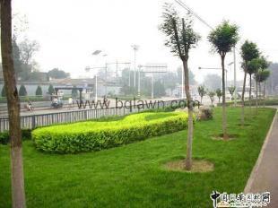 供应园林绿化|上海园林绿化-上海涵清园林绿化公司_建筑建材_世界工厂网中国产品信息库