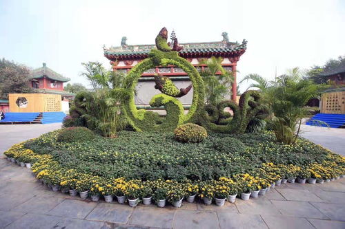 【景观主题创意绿雕造型,春节创意植物雕塑造型制作】- 