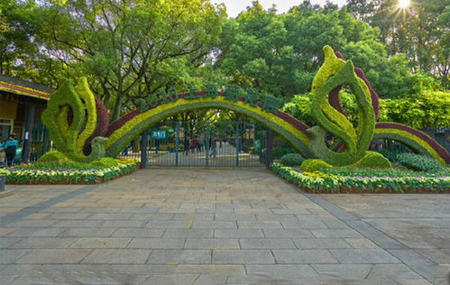 【绿雕造型厂家-真植物立体雕塑-四川真植物雕塑厂批发】- 