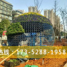 产品图522
