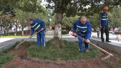 市园林局“三举措”有序推进秋季施肥工作