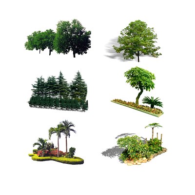 园林景观灌木植物树木绿色小清新